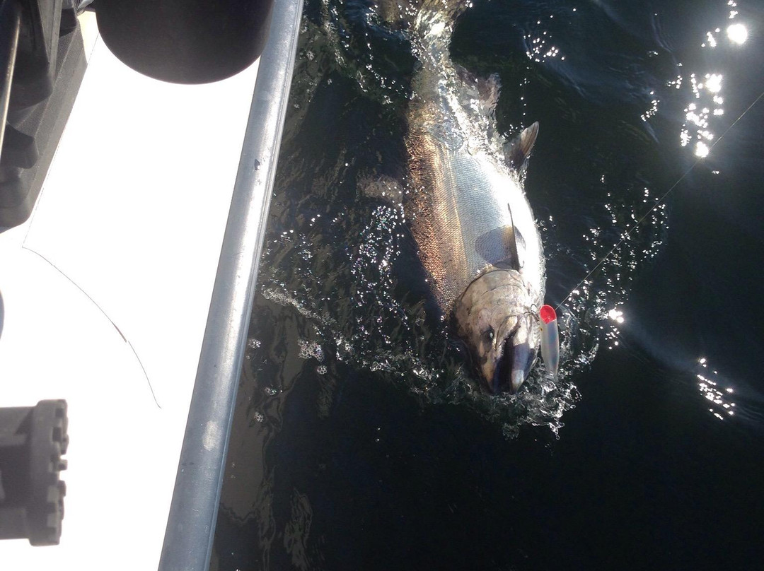 Peniuks Sportfishing Adventures-坎贝尔里弗必去景点