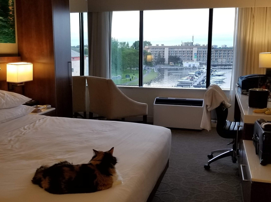 金士顿三角洲海滨酒店主图