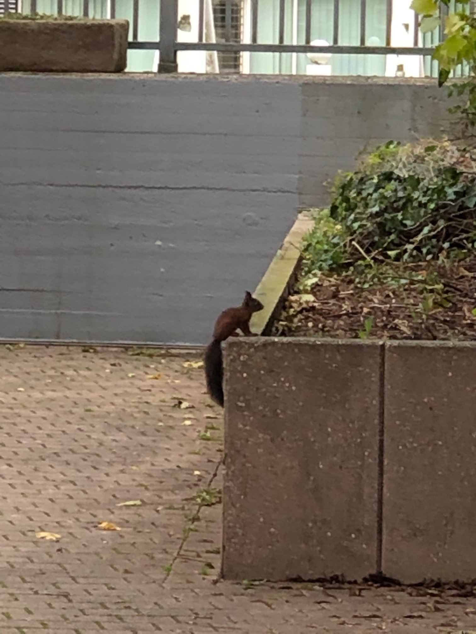 Ringhotel Katharinen Hof-浴室