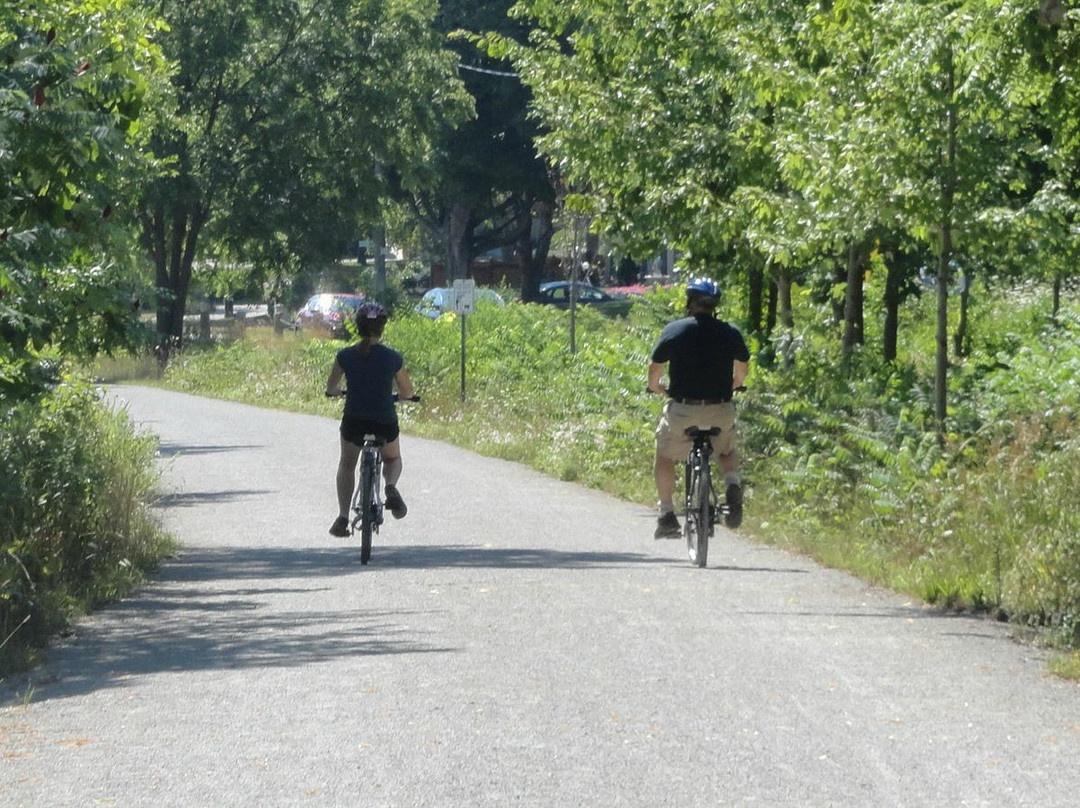 Born to Ride Bicycle-Innisfil必去景点