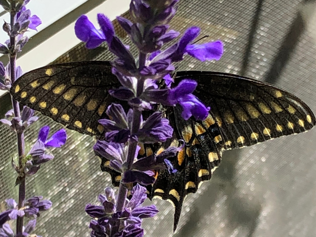 Mescal Canyon Retreat at Candlewood主图