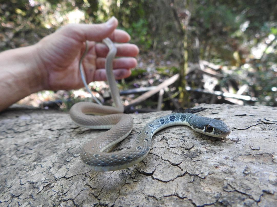 Walking Route Kavalos - Melissa Gorge-Kavallos必去景点