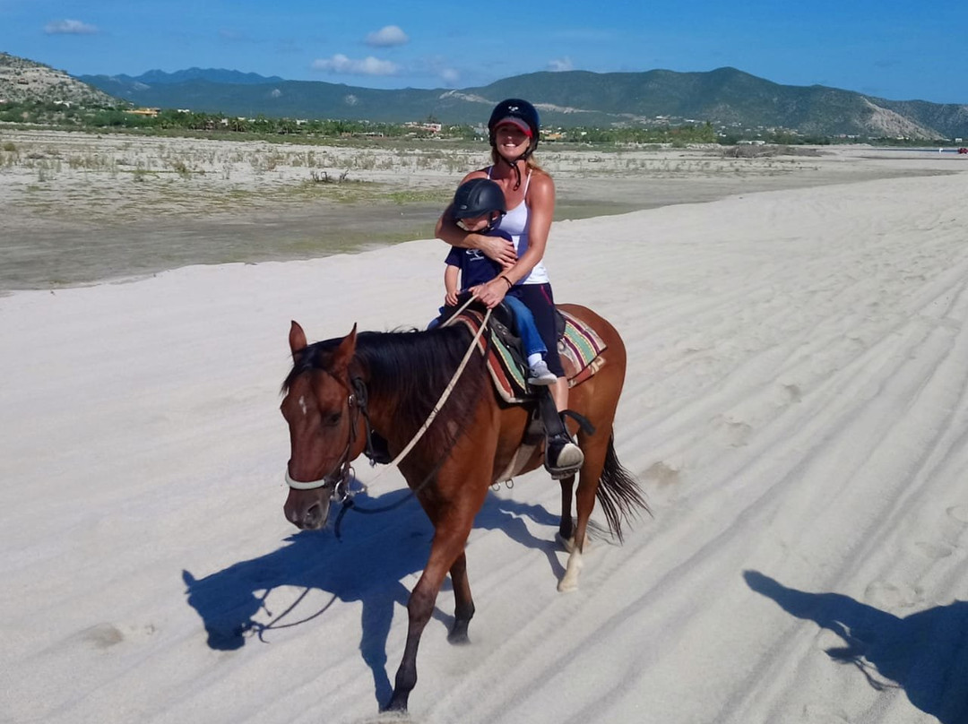 Baja's Awesome Beach Rides-Los Barriles必去景点