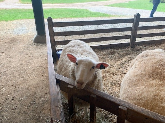 Shelburne Farms Inn主图