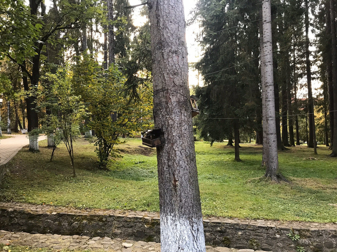 Parcul Central-Vatra Dornei必去景点