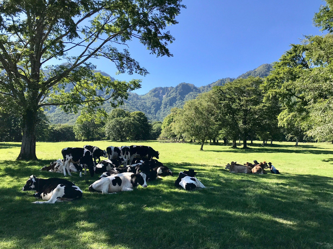 Togakushi Farm-长野县必去景点