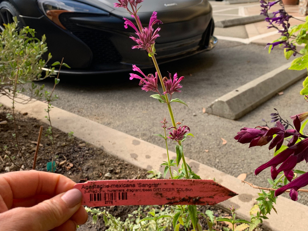 Bella Notte Inn主图