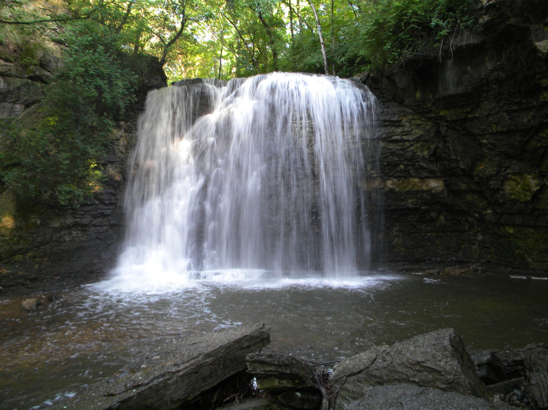 Hayden Falls Park