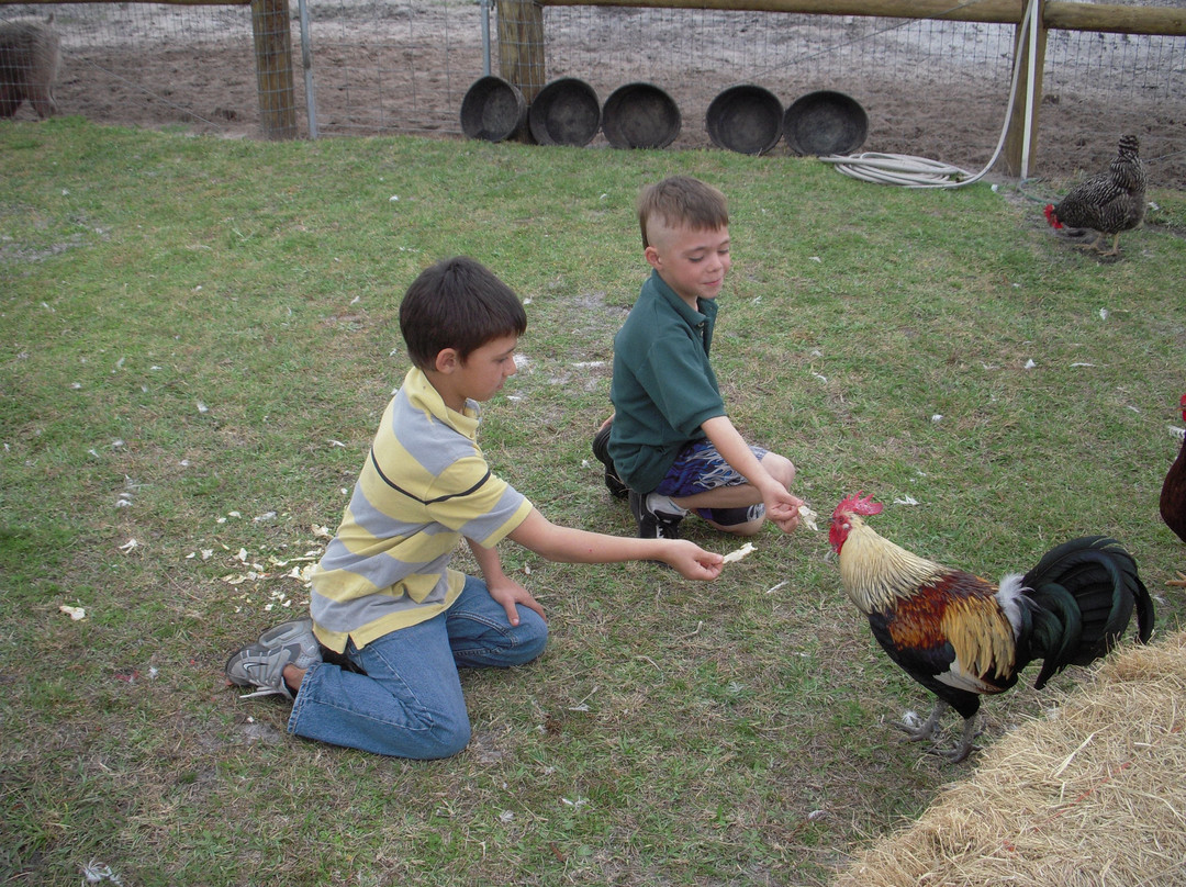 CJ Acres Animal Rescue Farm