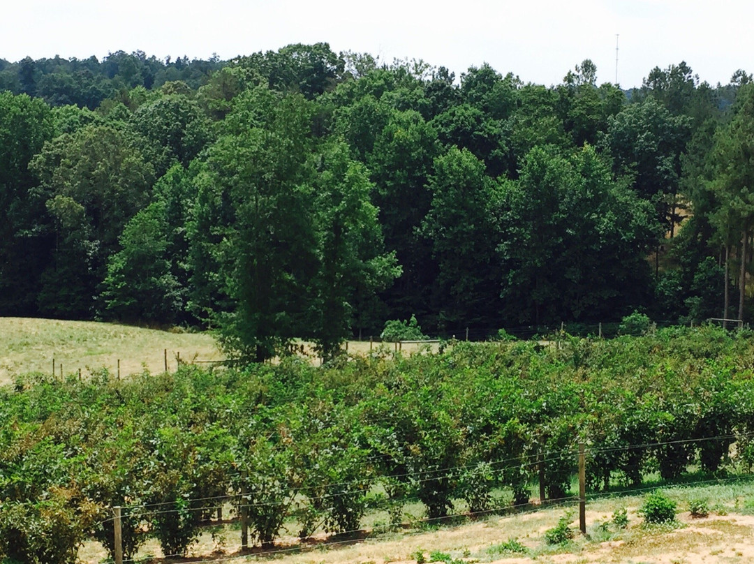 Sweet Acre Farms Winery