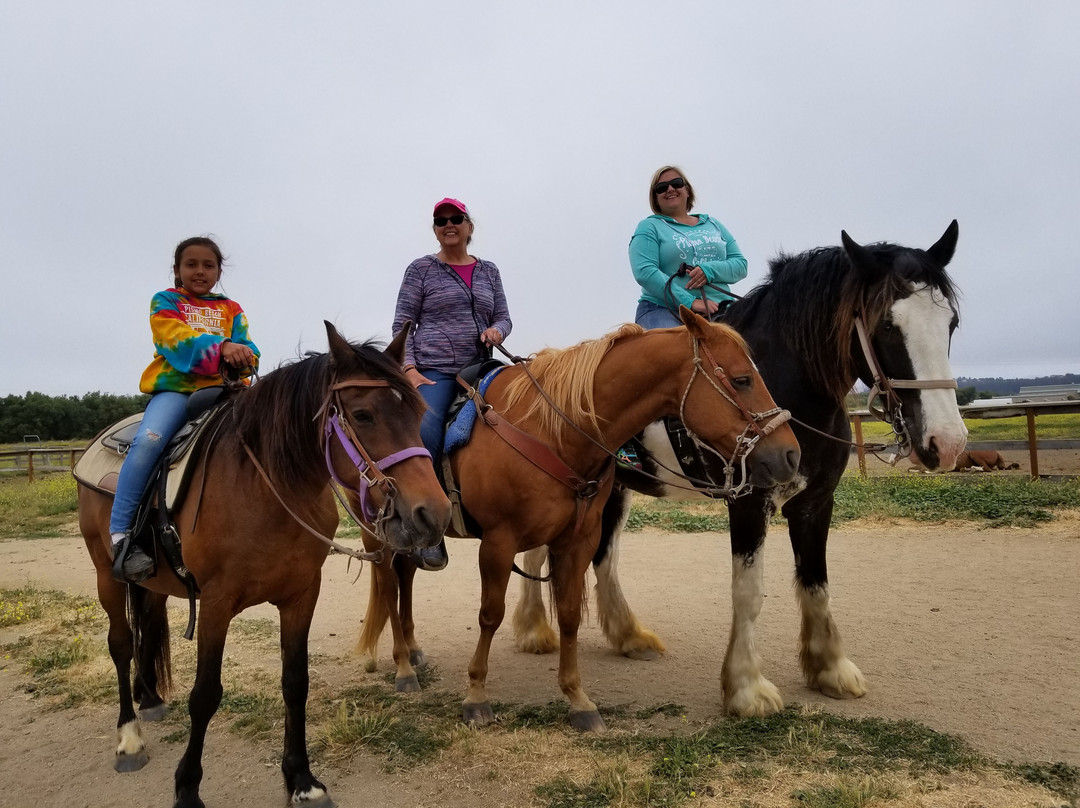 Pacific Dunes Ranch Riding Stables景点图片