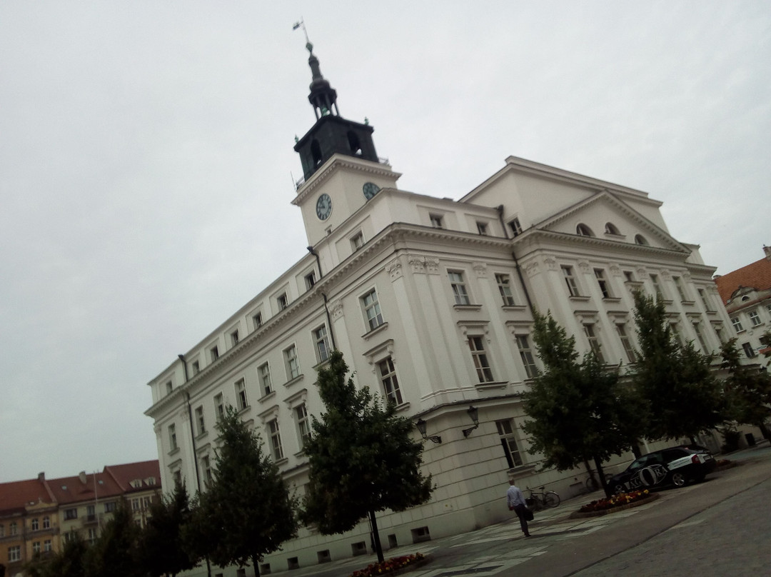 Old Town Hall景点图片