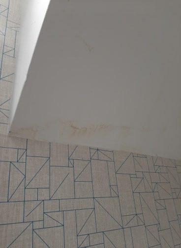 Travelodge by Wyndham Windsor主图