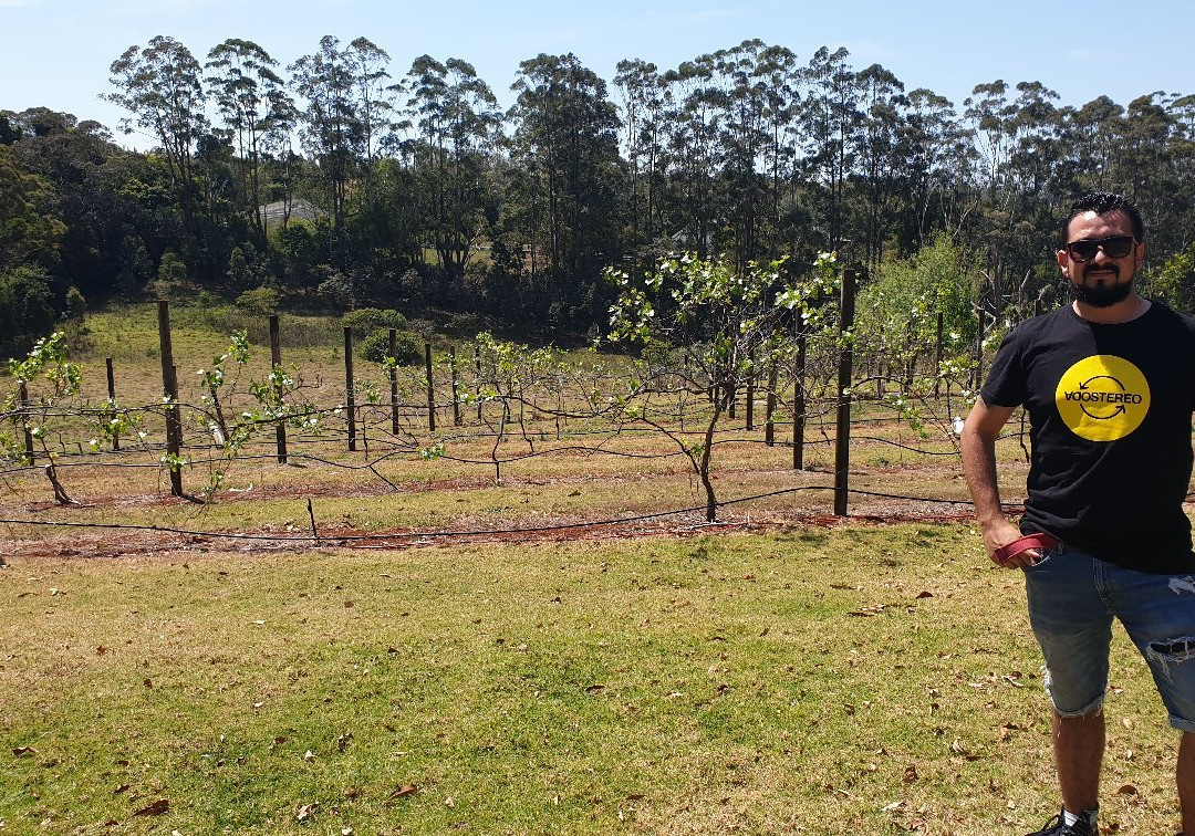 The Vino Bus - Winery Tours-布里斯班必去景点
