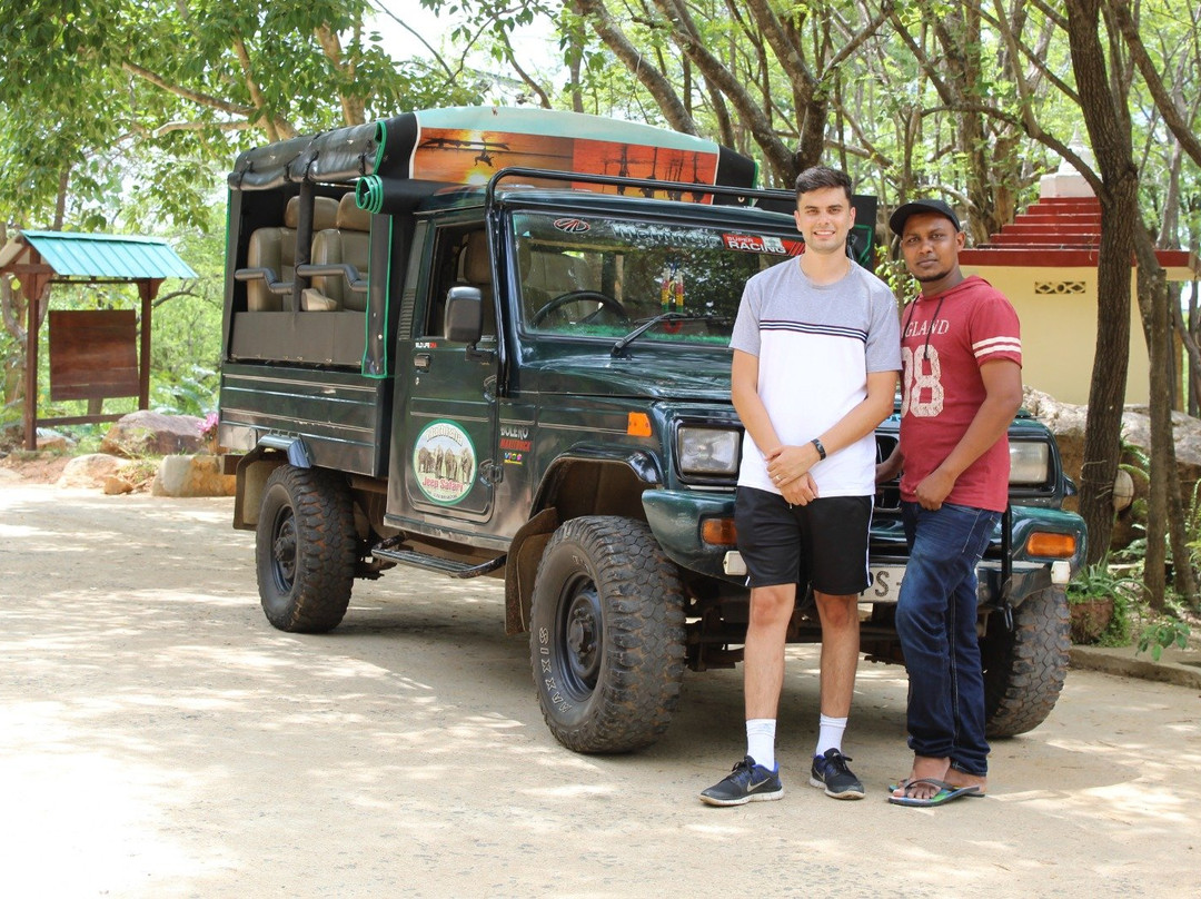 Minneriya  Safari & Taxi Service-丹布拉必去景点