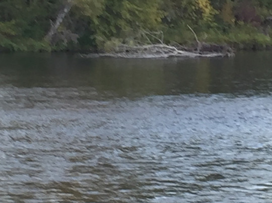 TouVelle State Recreation Site-Central Point必去景点