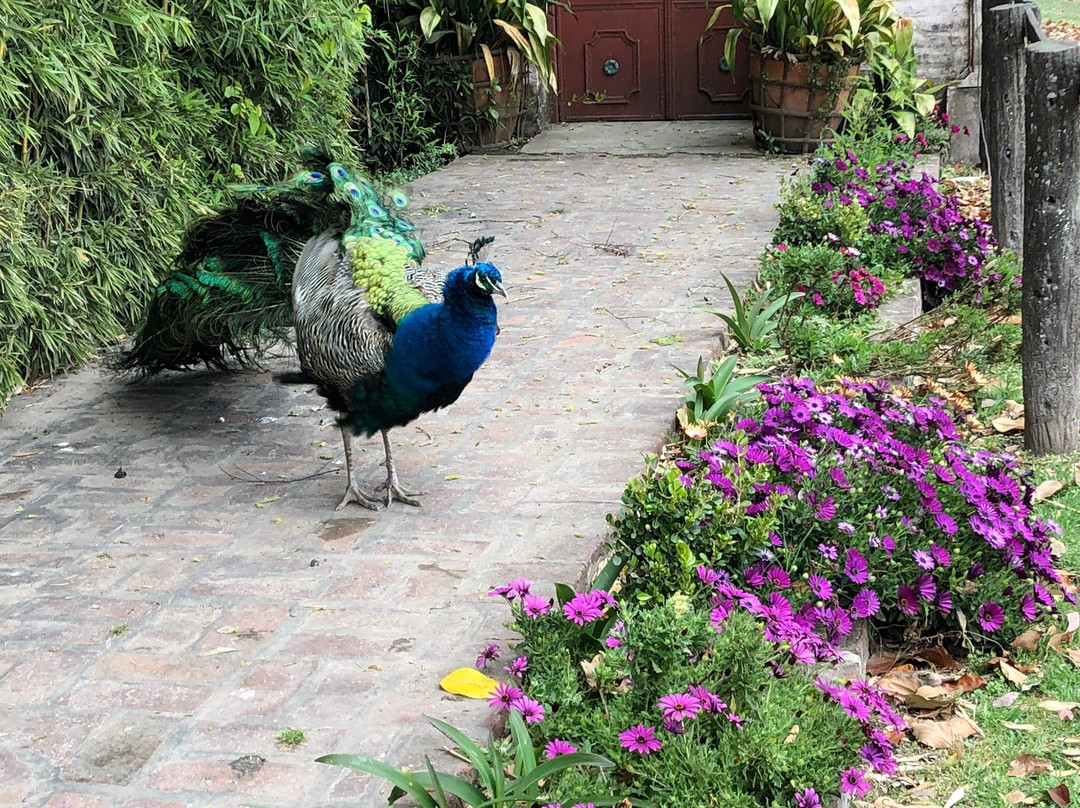 Estancia Don Silvano主图