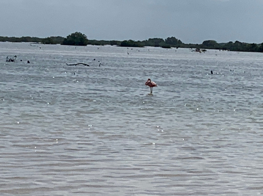 Dzemul旅游攻略图片