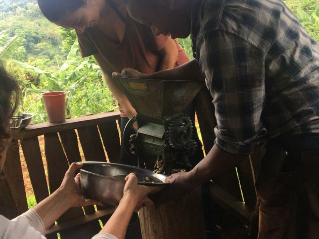 info@samaditours.com