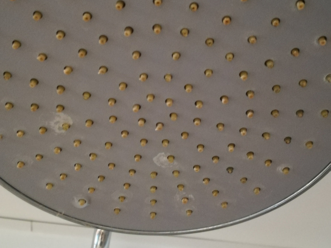 Hotel les Pielettes主图