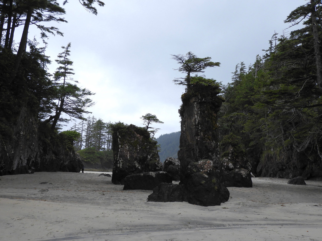 Cape Scott Provincial Park景点图片