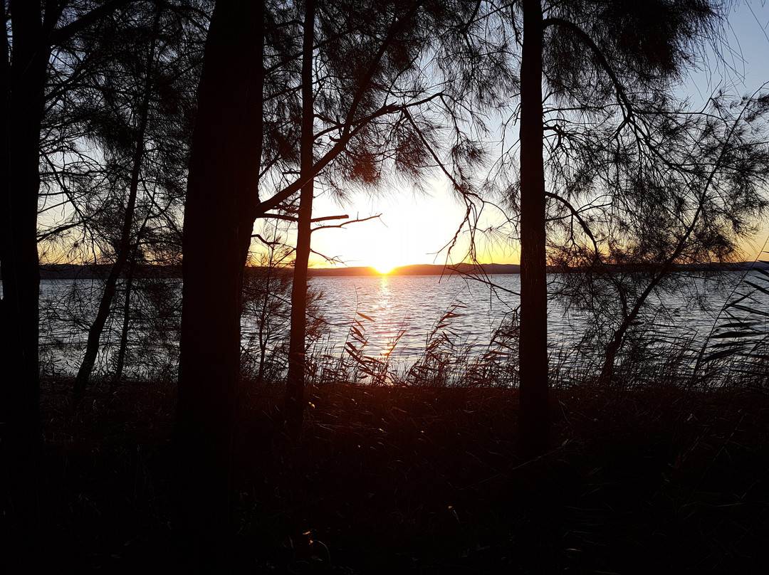 Long Jetty Foreshore Reserve-长码头必去景点