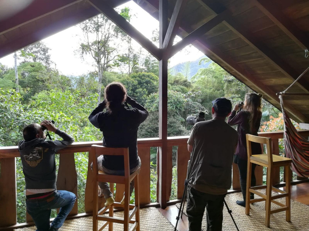 Casa Divina Eco Lodge主图