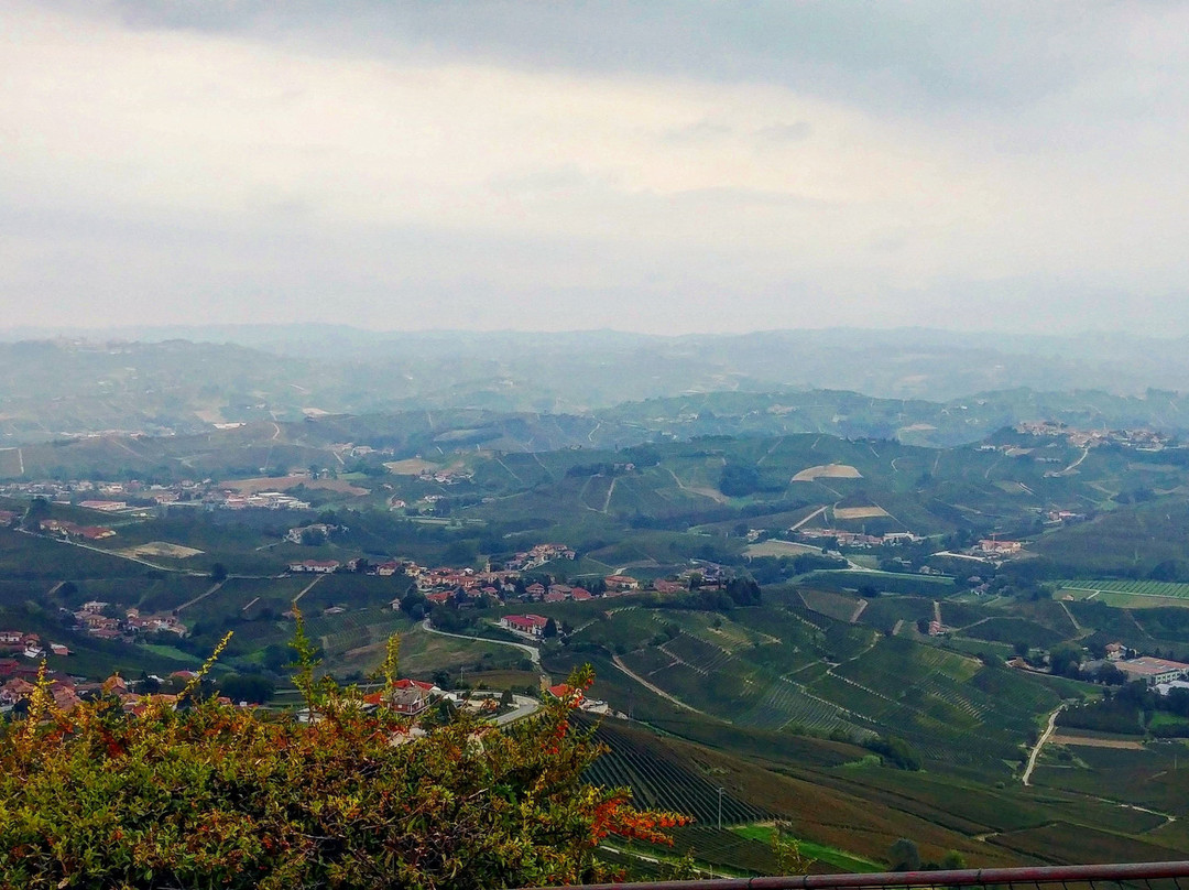 Azienda Agricola Mario Giribaldi景点图片