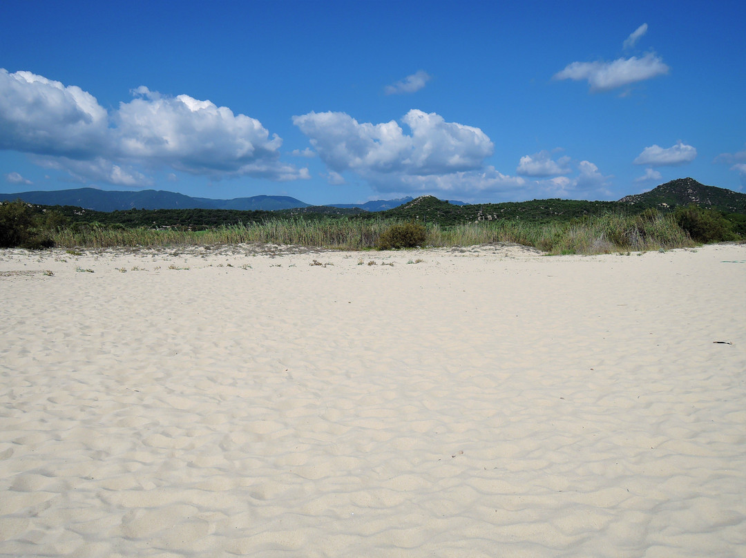 Spiaggia delle Ginestre景点图片