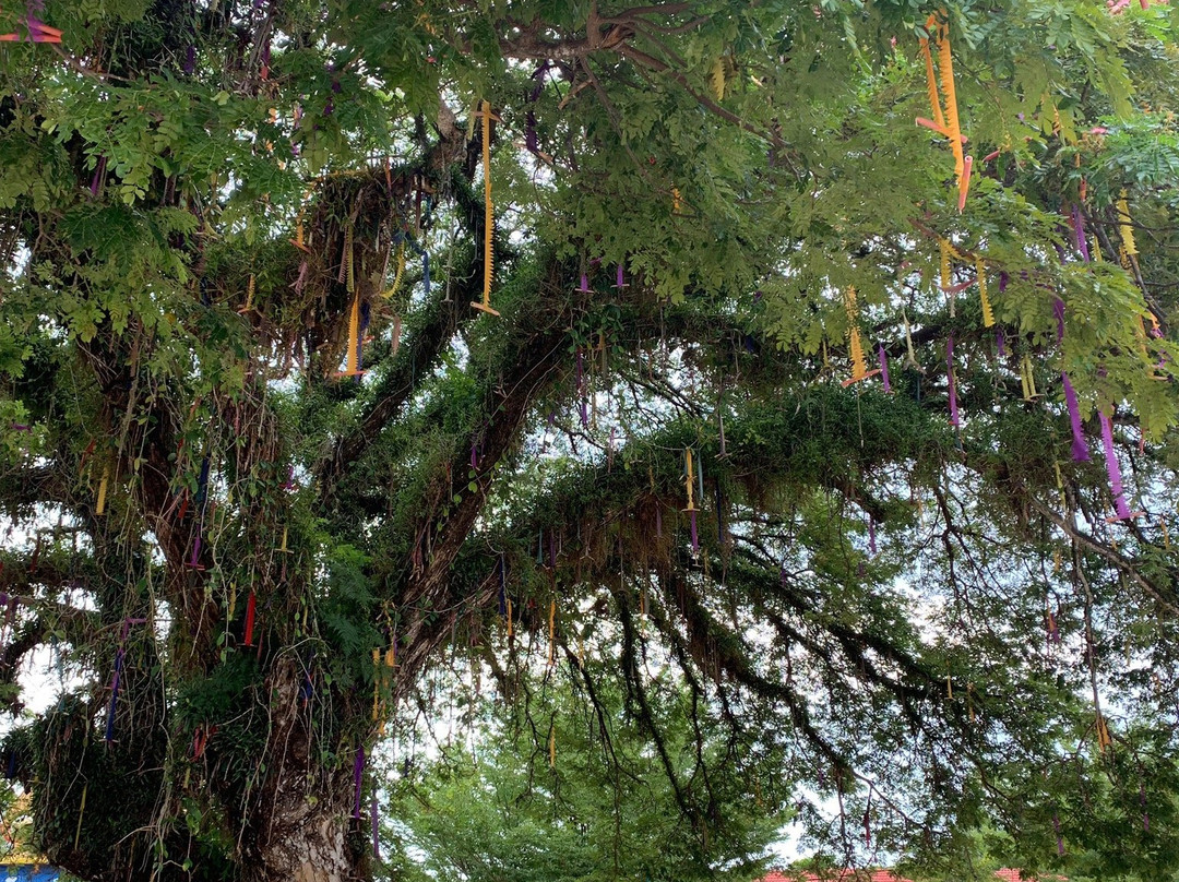 Wat Phothikyan Phutthaktham-Bachok必去景点