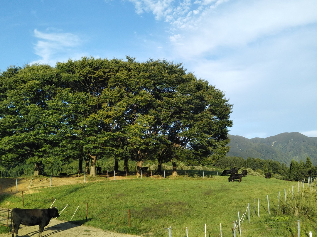 Gassan Kogen Ranch景点图片