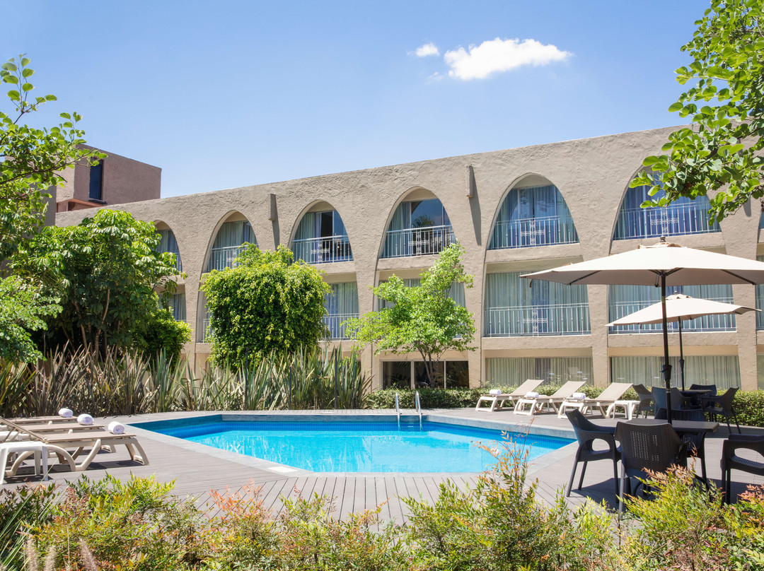 费斯塔客栈酒店主图