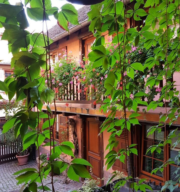 Hotel de l'Ange主图