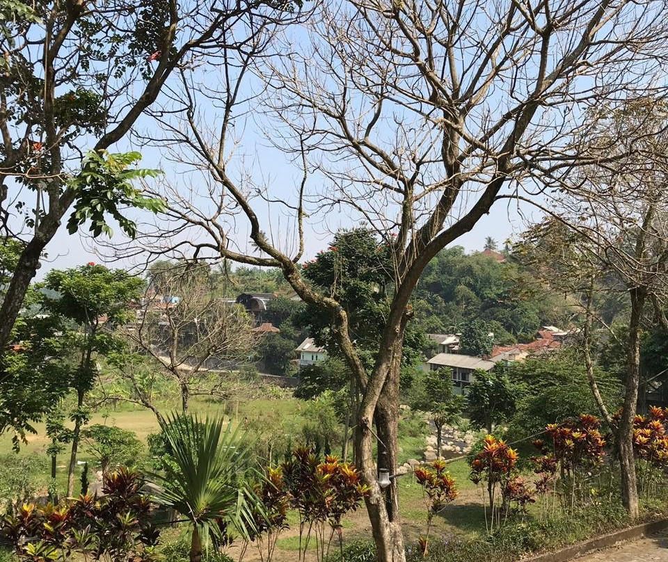 Athalia Resort主图