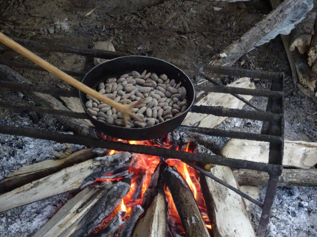 Kallari-Tena必去景点