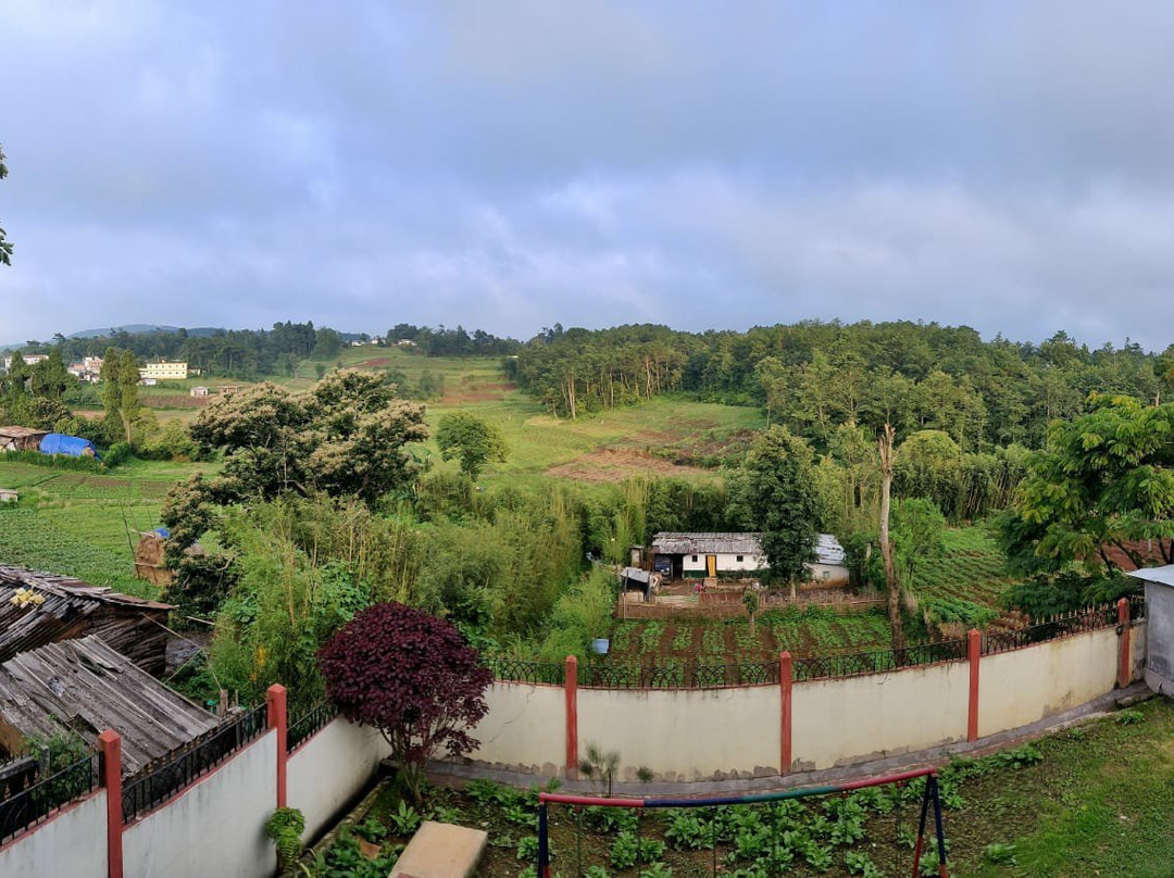 Pine Hill Homestay主图