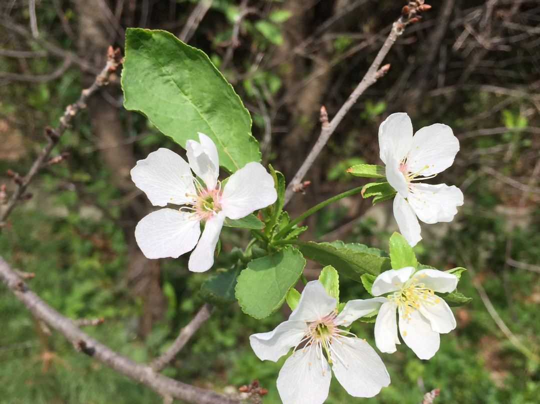 Zerkalo Rock-Goryachy Klyuch必去景点