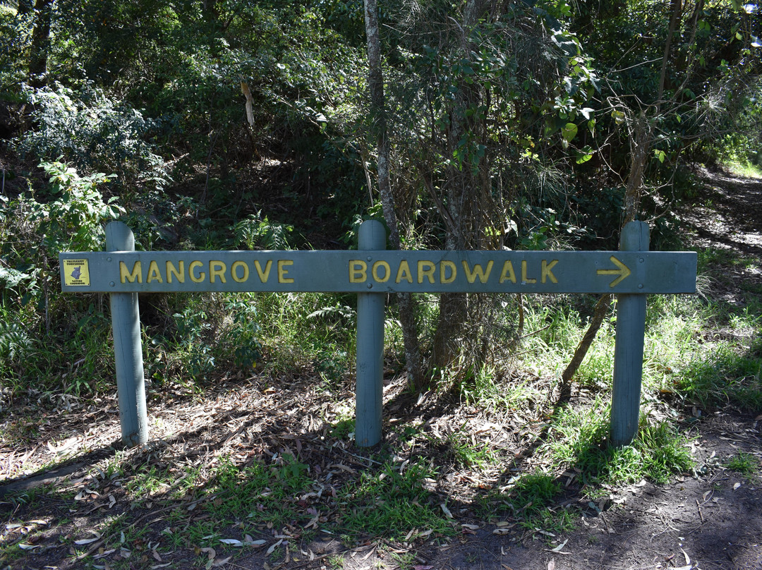 Koala Reserve Mangrove Boardwalk-柠檬树路必去景点
