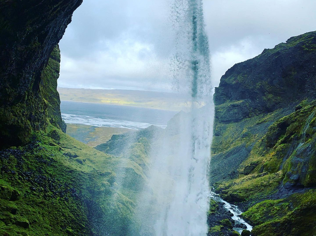 Into The Wild-科帕伏古必去景点