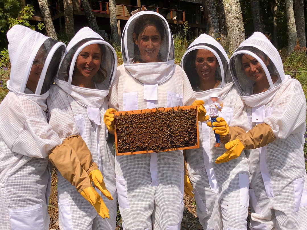 Killer Bees Honey景点图片