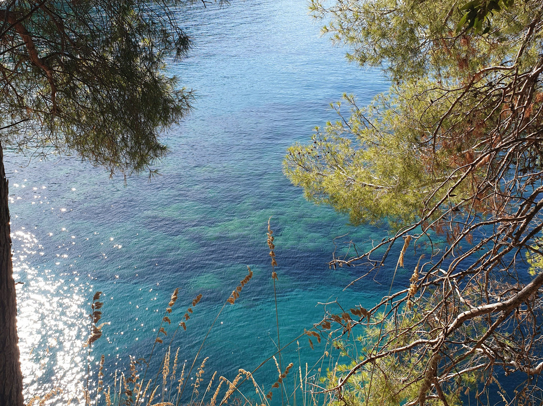 Spiaggia Lido Macarro - Cala 'i don Nicola景点图片