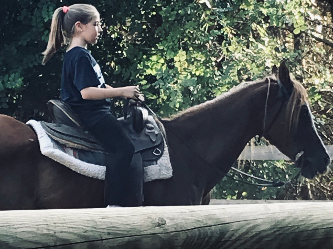 Casato Calabrese主图