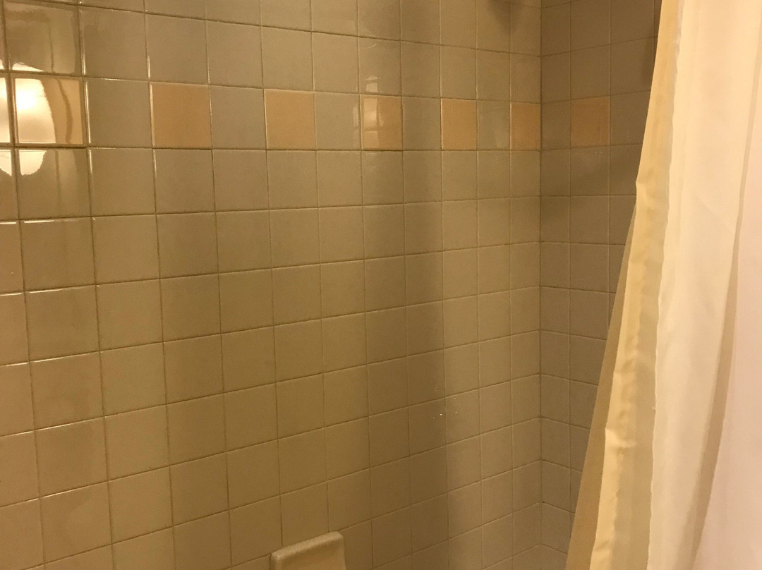 弗吉尼亚科技与斯凯尔顿会议中心旅馆主图