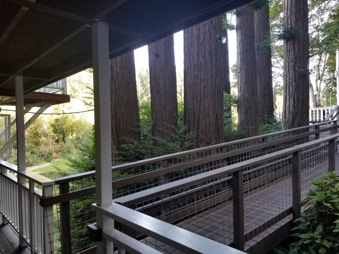 Village Inn & Restaurant主图