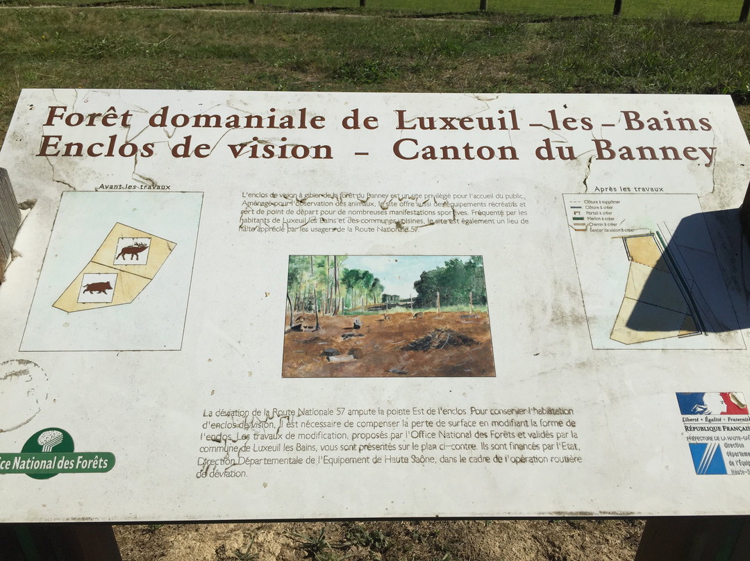 Etang de la Poche-Luxeuil-les-Bains必去景点