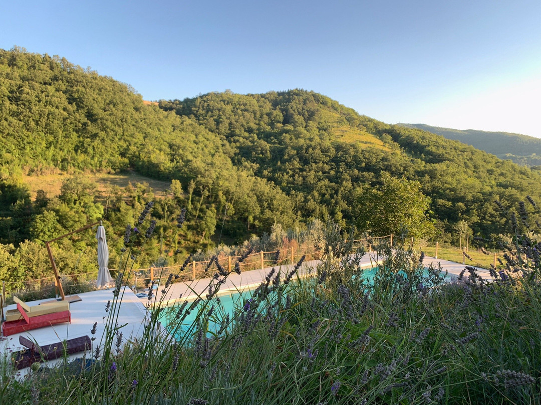 Gaiattone Eco Resort主图
