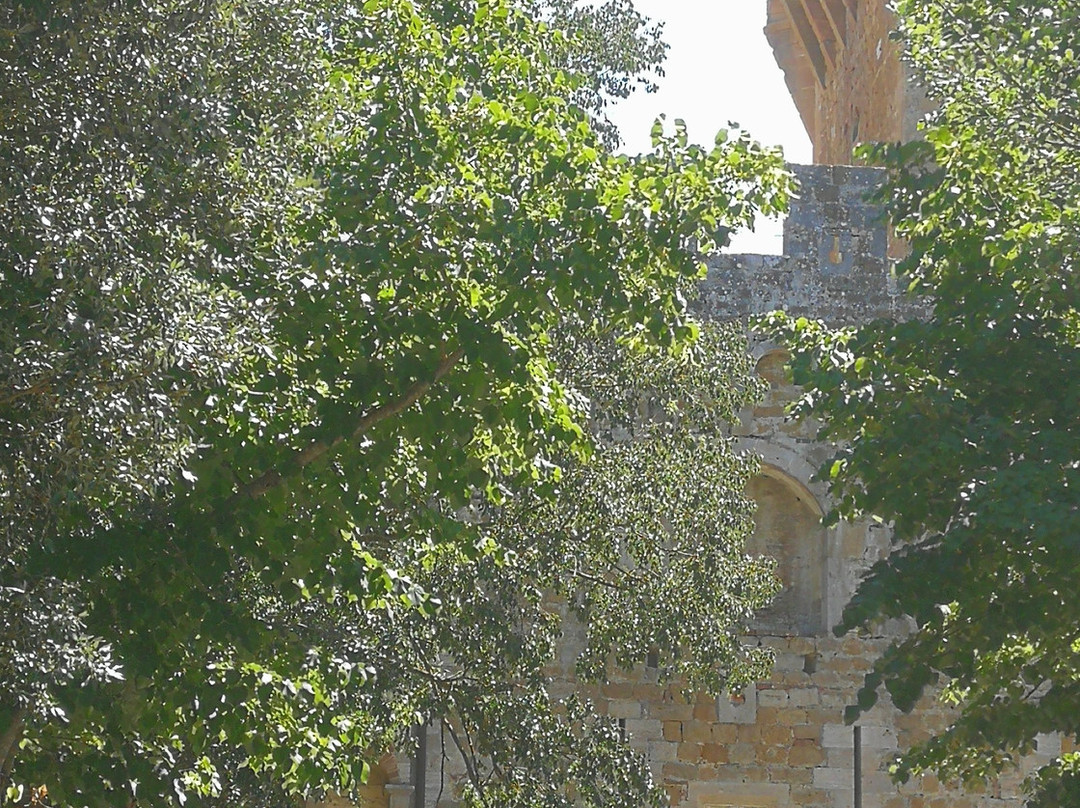 Castello di Spedaletto-皮恩扎必去景点