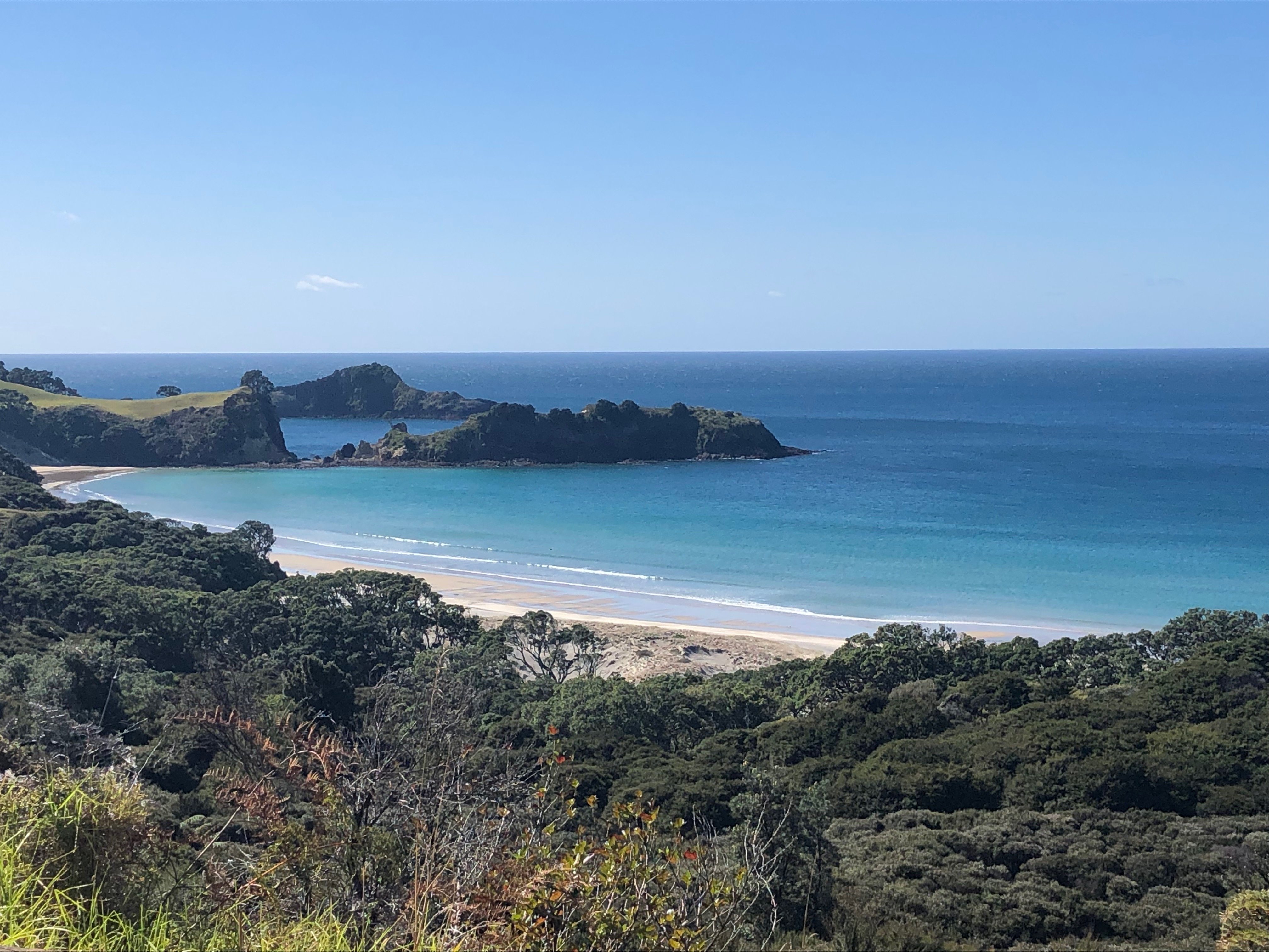 Medlands Beach Lodge-泳池
