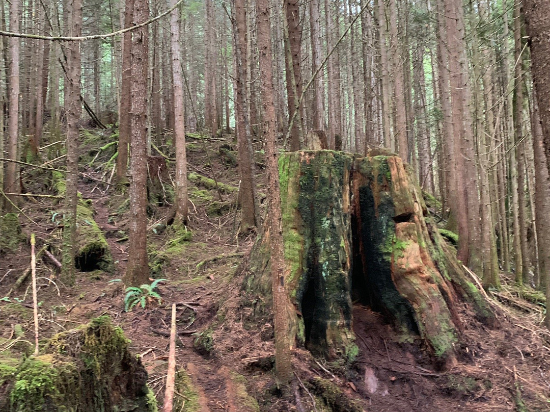 Blinkhorn Trail-Telegraph Cove必去景点