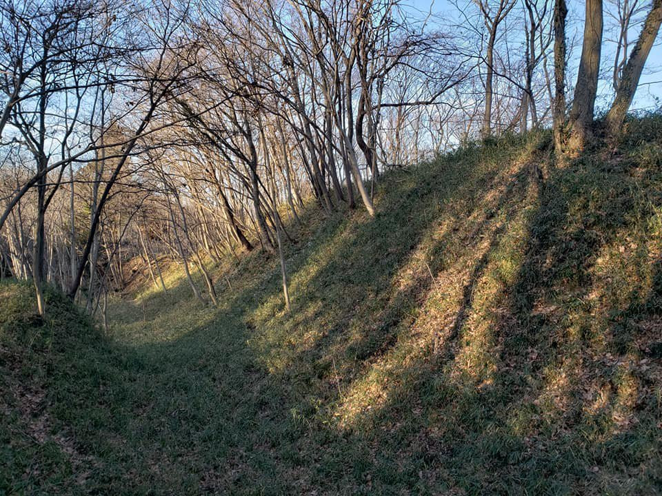 Takiyama Park, Takiyama Castle Remains景点图片